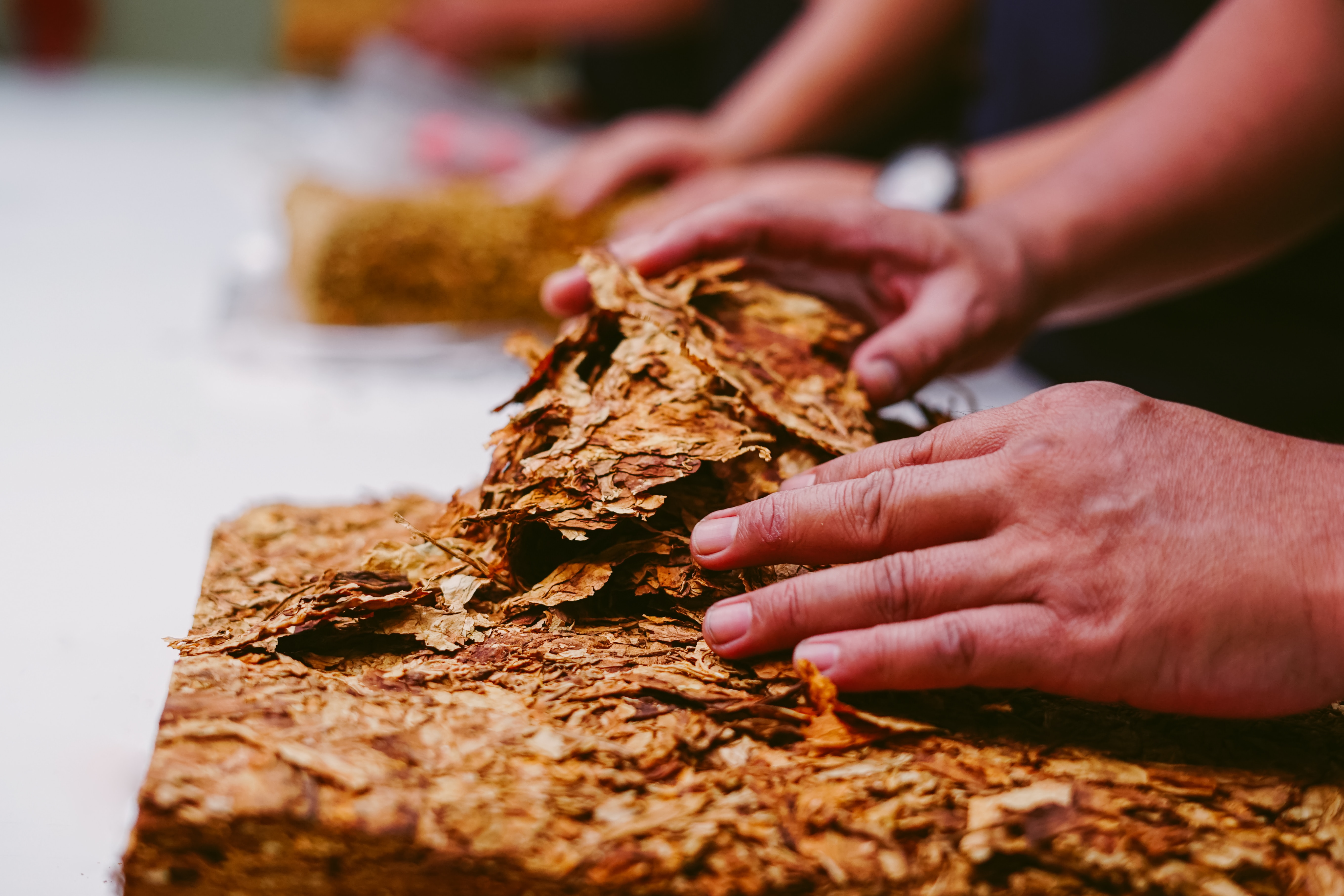 GST Rate on the Tobacco Industry